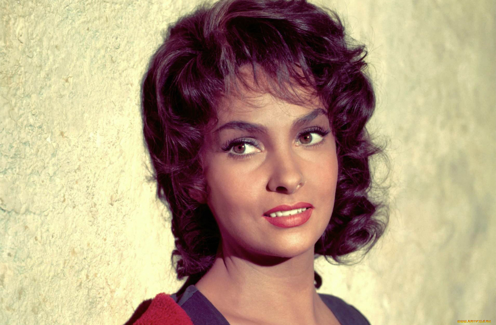 gina lollobrigida, , gina, lollobrigida, , , , , , , , 